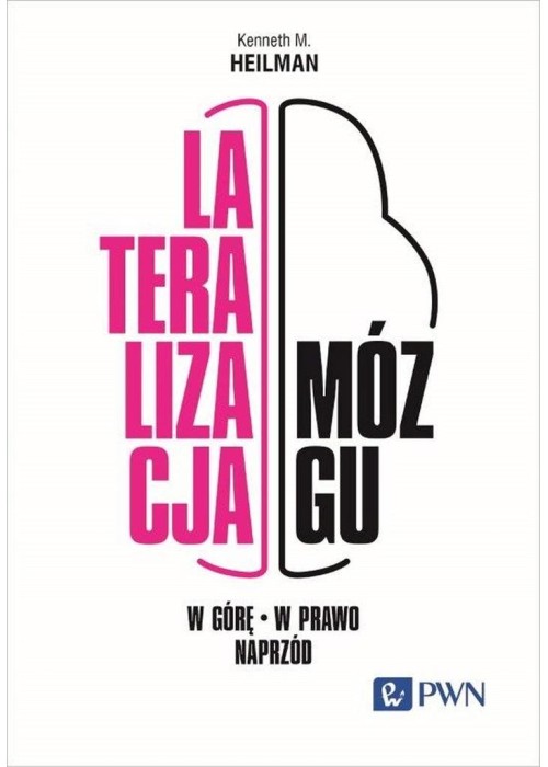 Lateralizacja mózgu. W górę, w prawo, naprzód