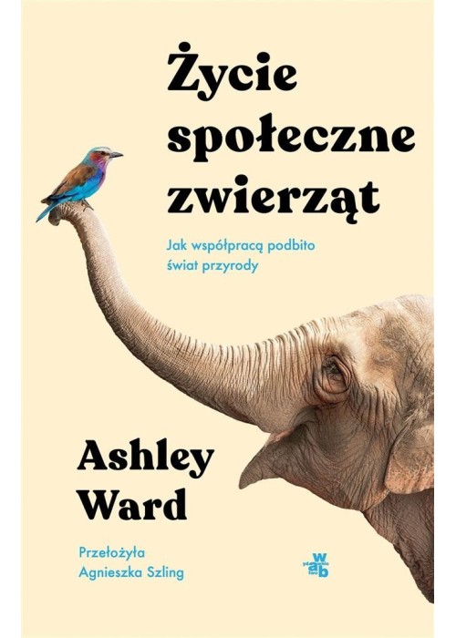 Życie społeczne zwierząt