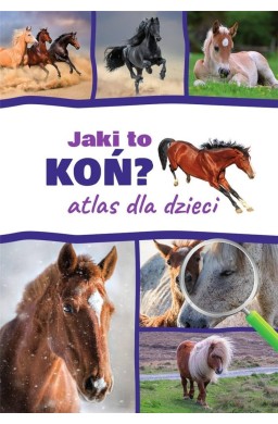 Atlas dla dzieci. Jaki to koń?