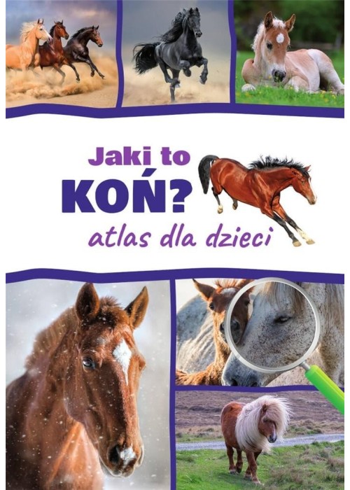 Atlas dla dzieci. Jaki to koń?