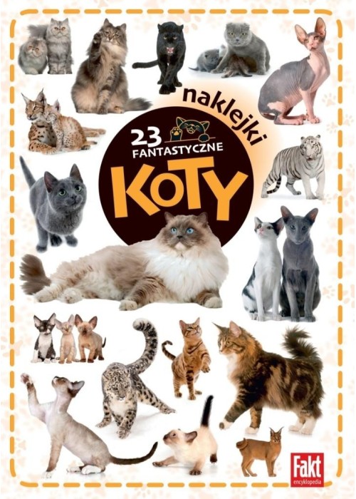 23 fantastyczne koty 23 fantastyczne koty
