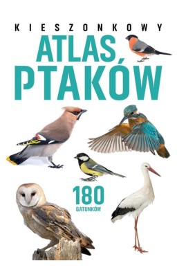 Kieszonkowy atlas ptaków. 180 gatunków