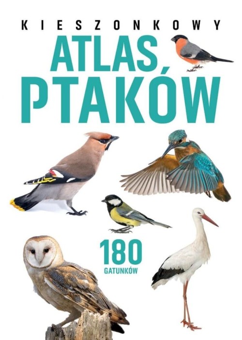 Kieszonkowy atlas ptaków. 180 gatunków