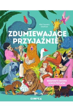 Zdumiewające przyjaźnie