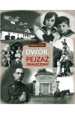 Dwór. Pejzaż okaleczony
