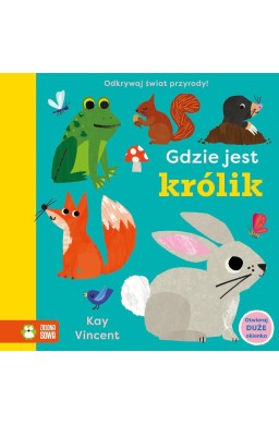 Gdzie jest królik