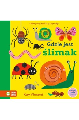 Gdzie jest ślimak