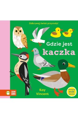 Gdzie jest kaczka