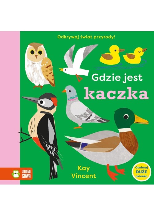 Gdzie jest kaczka