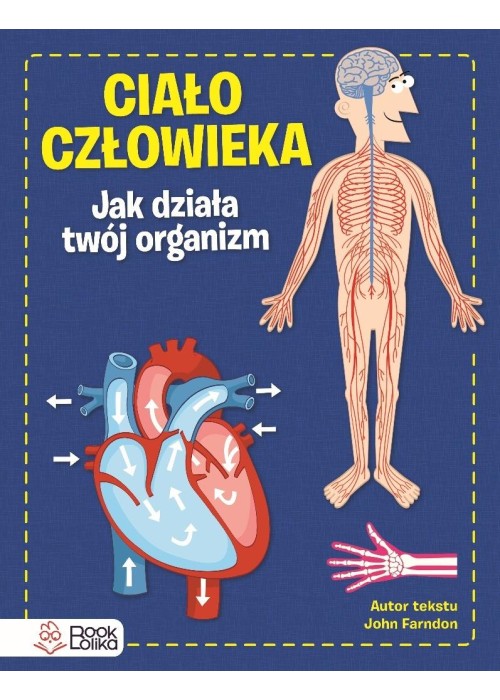 Ciało człowieka. Jak działa Twój organizm