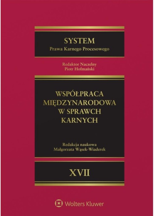System Prawa Karnego Procesowego T.17