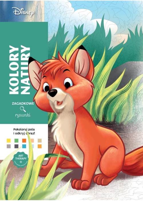 Kolory natury. Zagadkowe rysunki. Disney