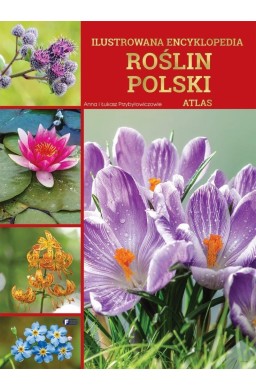 Ilustrowana encyklopedia roślin Polski. Atlas