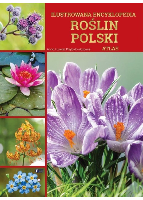 Ilustrowana encyklopedia roślin Polski. Atlas