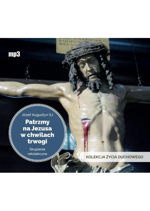 Patrzmy na Jezusa w chwilach trwogi audiobook