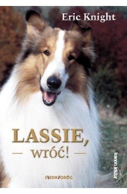 Lassie, wróć! BR w.2017