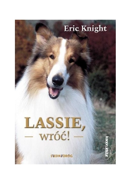Lassie, wróć! BR w.2017
