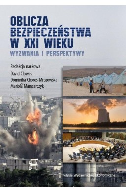 Oblicza bezpieczeństwa w XXI wieku