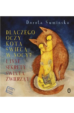 Dlaczego oczy kota świecą w nocy?