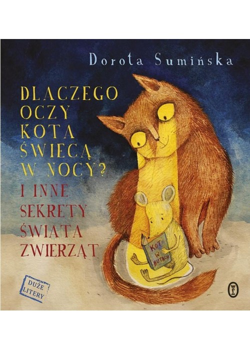 Dlaczego oczy kota świecą w nocy?