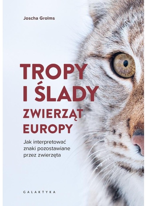 Tropy i ślady zwierząt Europy. Jak interpretować..