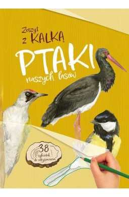 Ptaki naszych lasów. Zeszyt z kalką