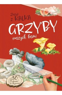 Grzyby Naszych Lasów. zeszyt z kalką