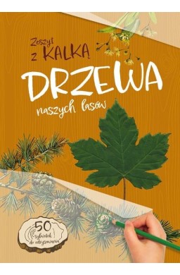 Drzewa naszych lasów. zeszyt z kalką