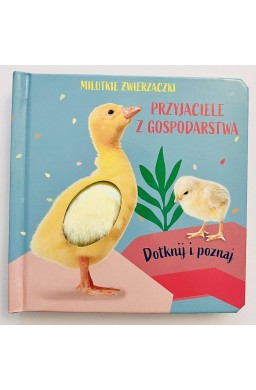 Milutkie zwierzaczki. Dotknij i poznaj. Przyjaciel