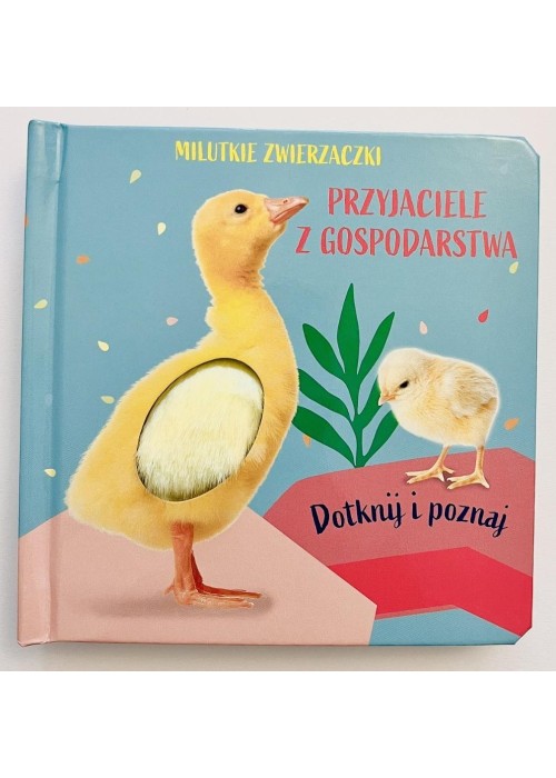 Milutkie zwierzaczki. Dotknij i poznaj. Przyjaciel
