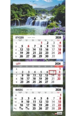 Kalendarz 2026 trójdzielny płaska główka Łubin
