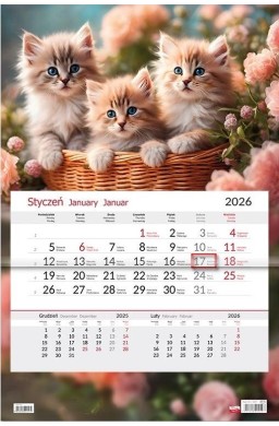 Kalendarz 2026 jednodzielny Kotki