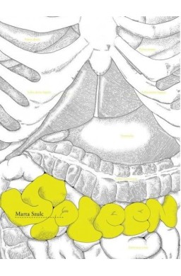 Spleen