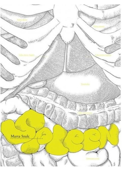 Spleen