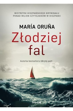 Złodziej fal