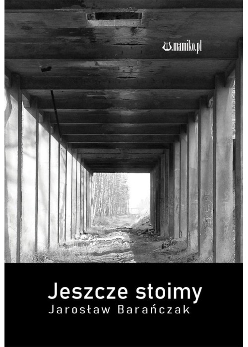 Jeszcze stoimy