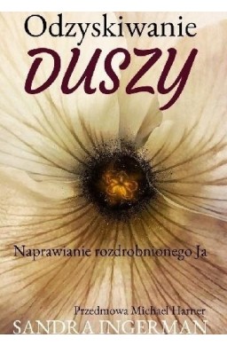 Odzyskiwanie duszy