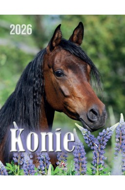Kalendarz 2026 wieloplanszowy 34x44cm Konie