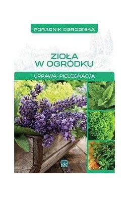 Poradnik ogrodnika. Zioła w ogrodzie