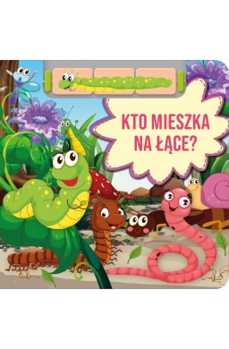Kto mieszka na łące?