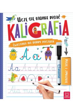 Kaligrafia. Uczę się ładnie pisać. Piszę i zmazuję