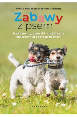 Zabawy z psem. Radosne gry, sztuczki...