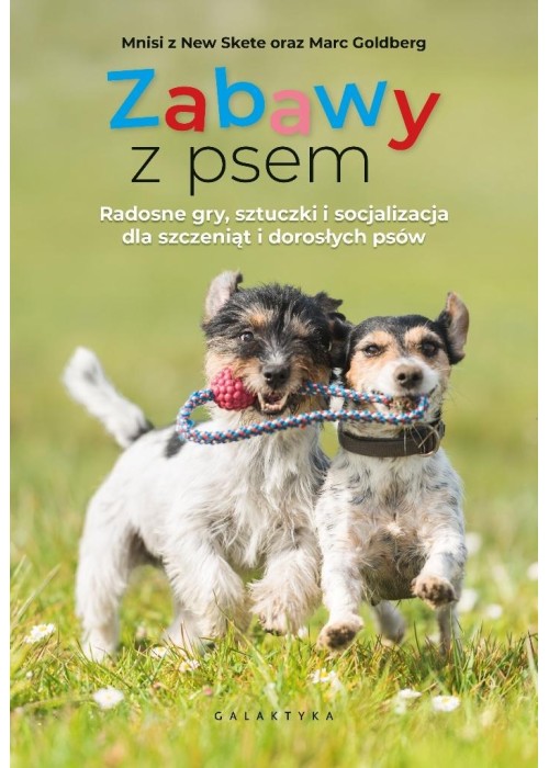 Zabawy z psem. Radosne gry, sztuczki...