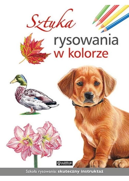 Sztuka rysowania w kolorze Sztuka rysowania w kolorze