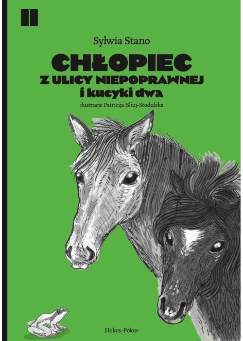 Chłopiec z ulicy Niepoprawnej i kucyki dwa