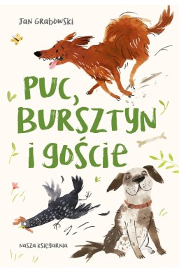 Puc, Bursztyn i goście