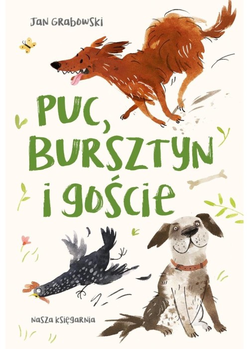 Puc, Bursztyn i goście