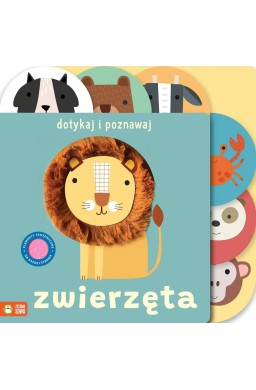 Dotykaj i poznawaj. Zwierzęta