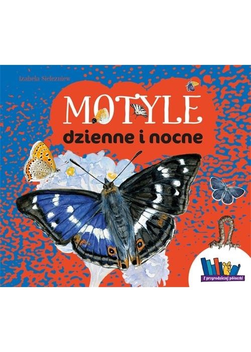 Motyle dzienne i nocne