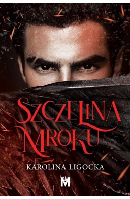 Szczelina mroku